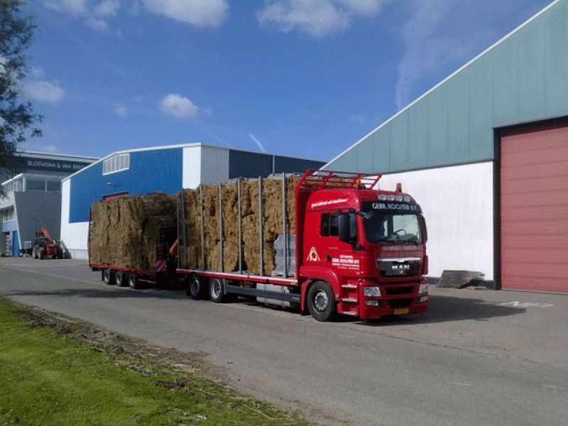 Rode vrachtwagen vervoert rietbalen op een oplegger vlak bij industriële gebouwen op een zonnige dag.