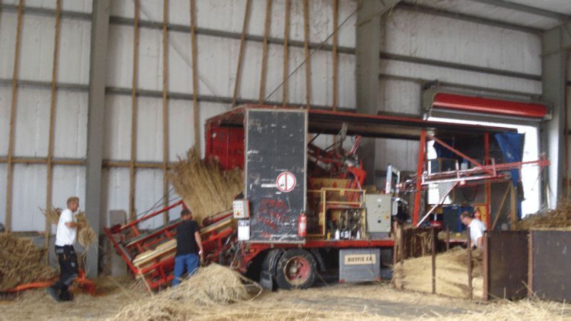 Werknemers laden riet in een rietbindmachine in een grote loods. Rietfix.