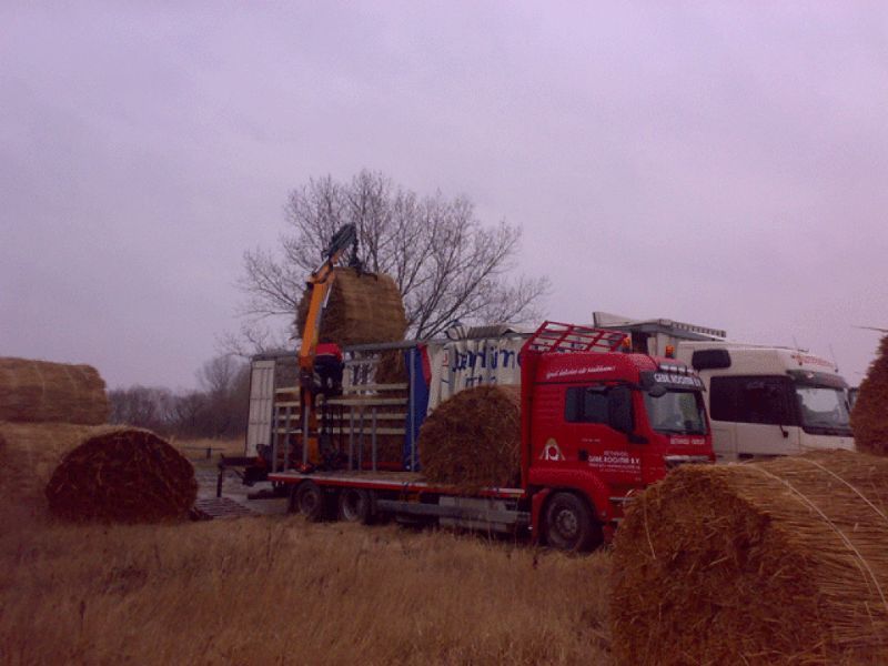 Een rode vrachtwagen laadt rietbalen in een veld onder een bewolkte hemel.