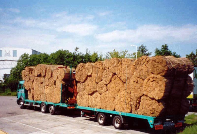 Vrachtwagen met grote stapels rietbalen en zonnige dag.