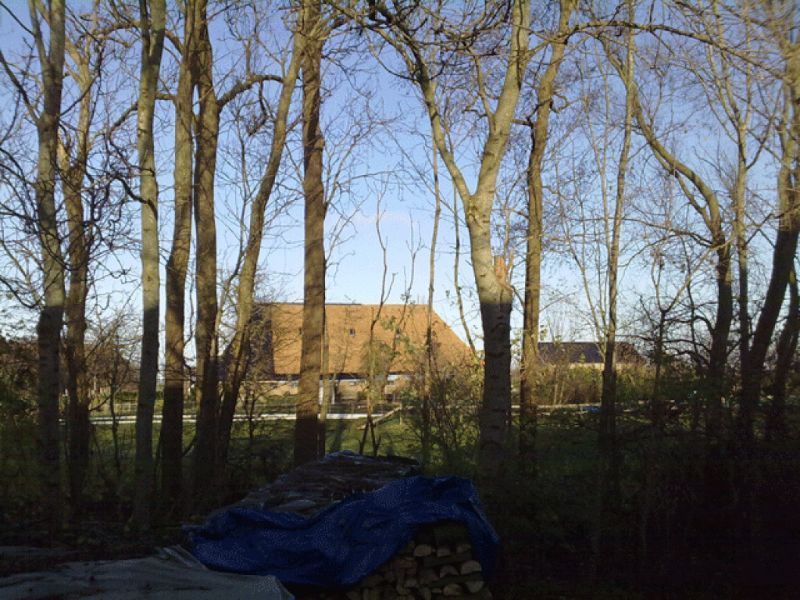 Kale bomen omlijsten een landelijk tafereel met een gebouw en een met een blauw zeil bedekt object op de voorgrond.