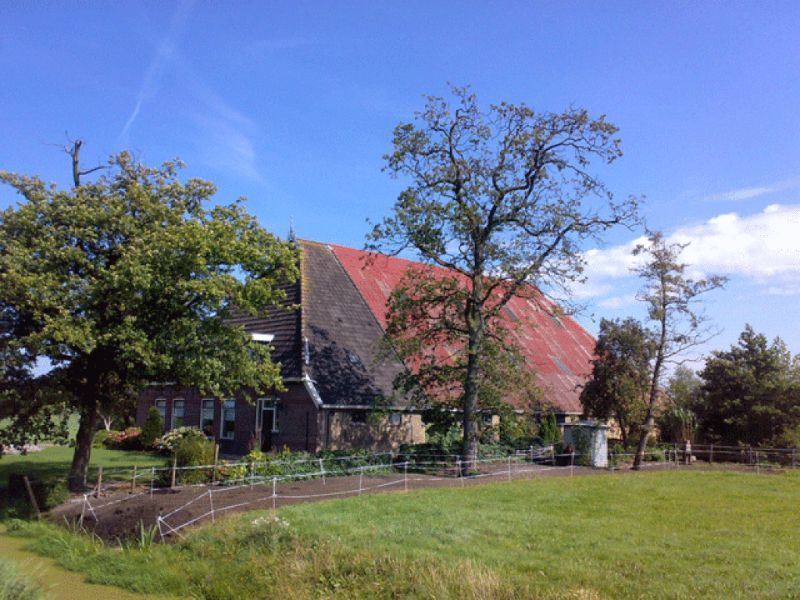 Boerderij met rood dak en groen gazon op een zonnige dag.