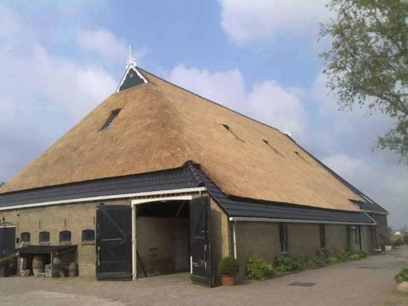 Schuur met rieten dak en zwarte deuren. Bakstenen buitenkant met kleine ramen. Blauwe lucht.