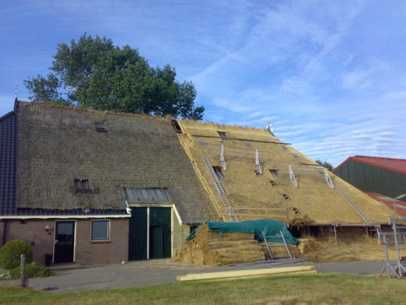 Schuur met rieten dak, gedeeltelijk opnieuw bedekt. Lichtbruin riet, groen zeil, blauwe lucht.