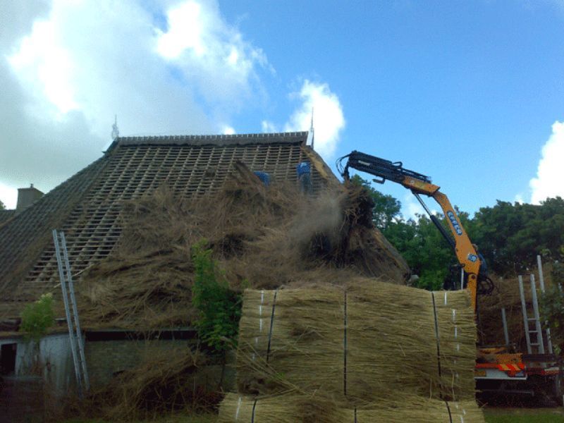 Een huis waarvan het rieten dak gedeeltelijk verwijderd is, een graafmachine die het riet laadt en werklieden op het dak.