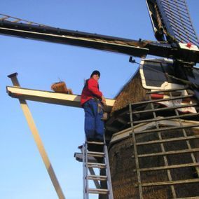 Persoon op een ladder die het rieten dak van een windmolen repareert.