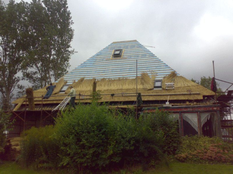 Dak in aanbouw; rieten dak op een huis met blauwe dakbedekking en dakramen.