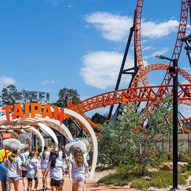 a group of people are walking towards the steel taipan roller coaster at the Dreamworld theme park .