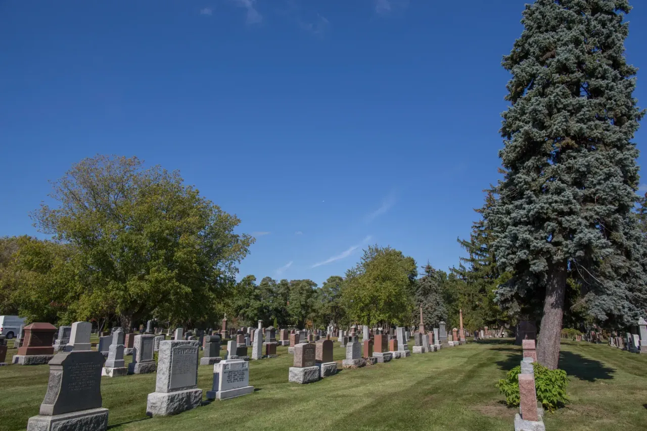 Rows of gravestones in a grassy cemetery under a bright blue sky with tall trees.