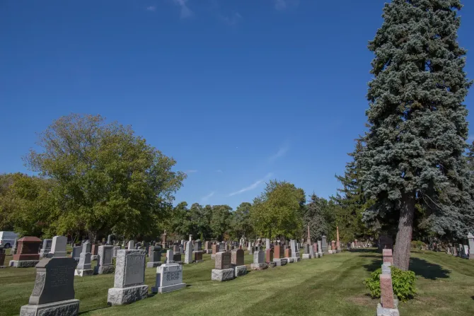 Rows of gravestones in a grassy cemetery under a bright blue sky with tall trees.
