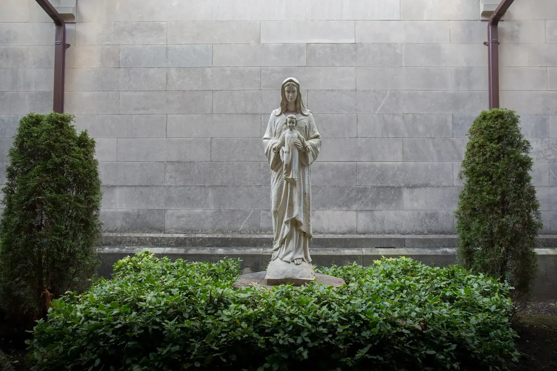 Stone statue of a robed figure in a garden, framed by trimmed shrubs and a gray wall.