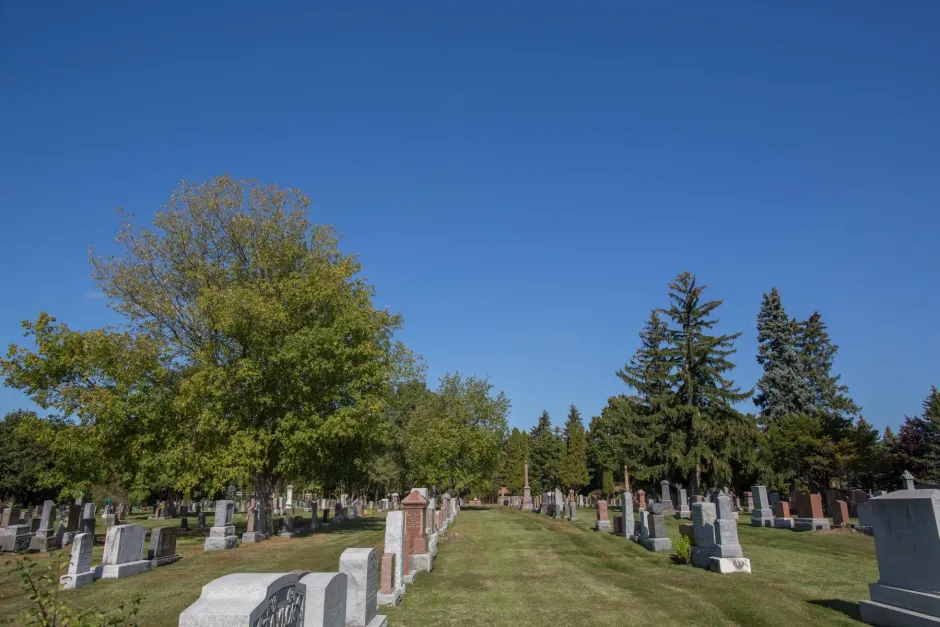 Cemetery with rows of headstones beneath a clear blue sky and green trees