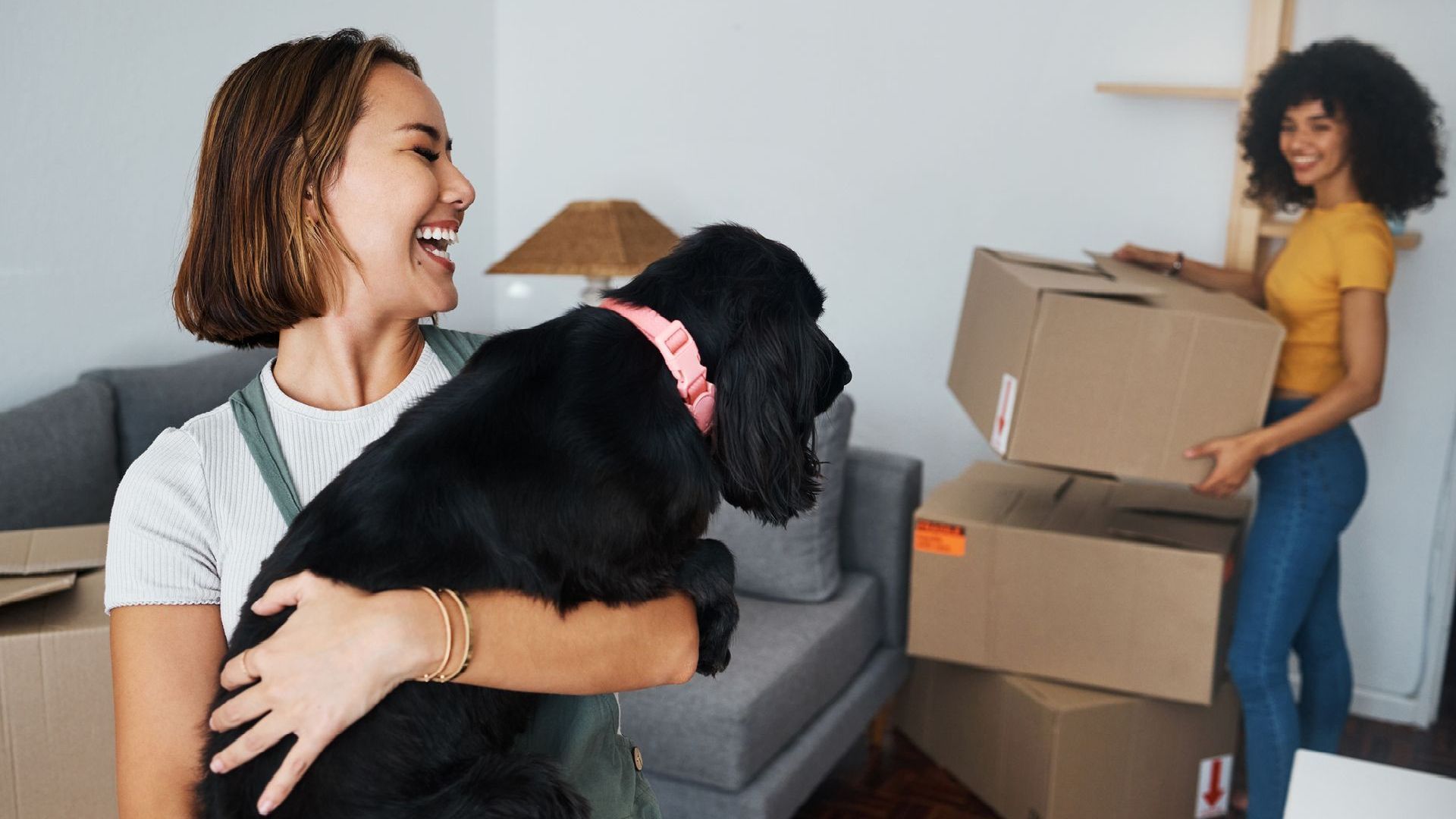 a woman holding a black dog with a pink collar