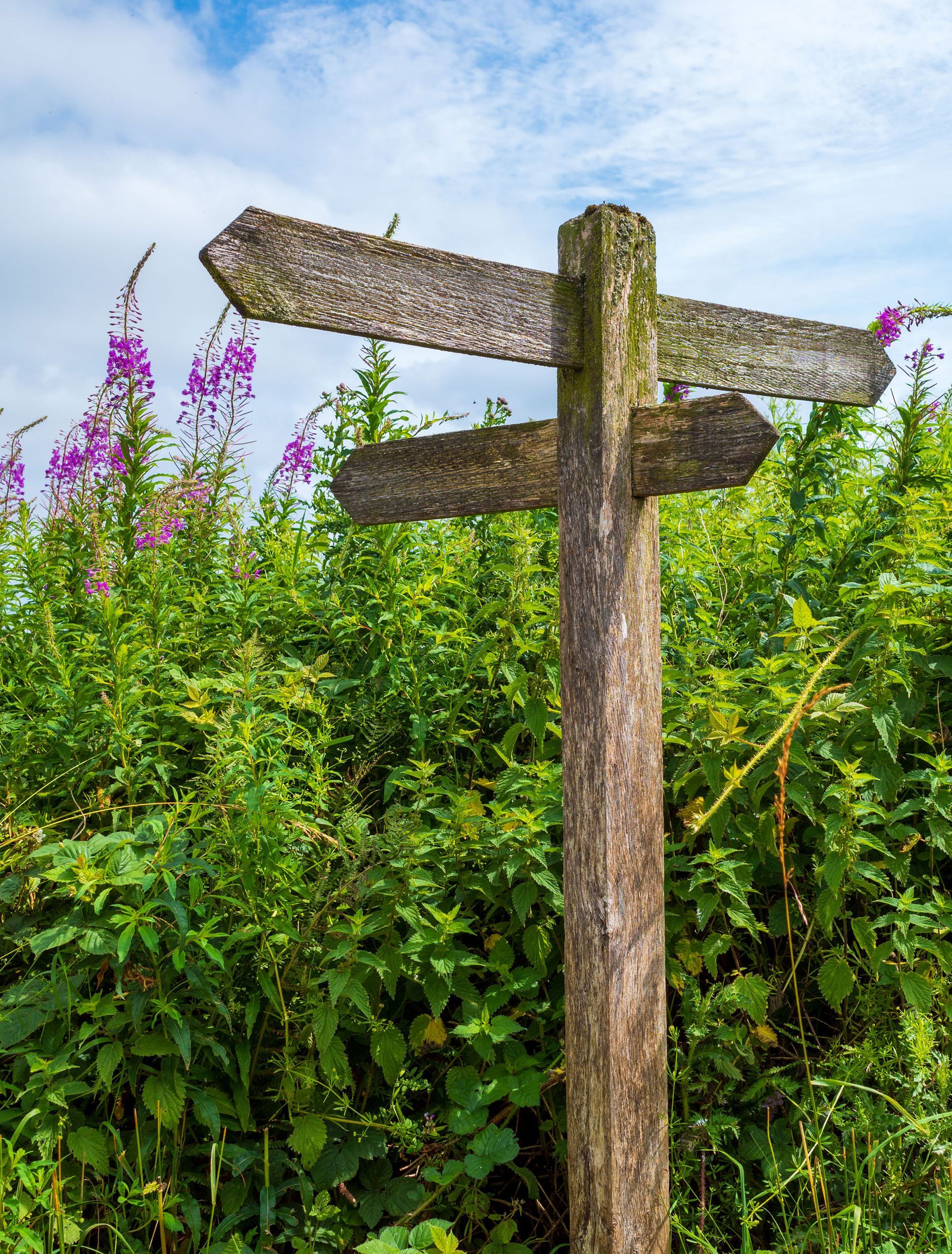Wood Sign