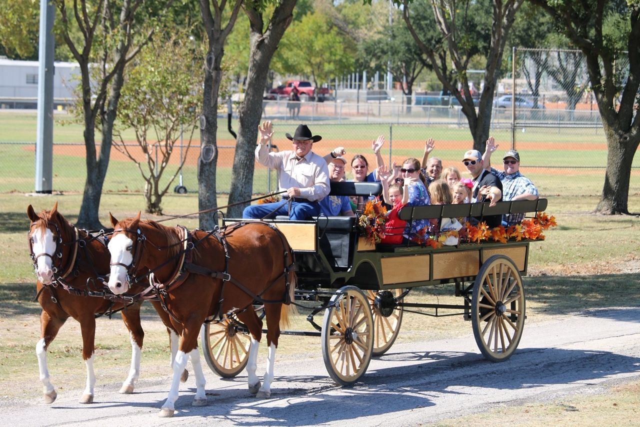 horse-drawn event waving