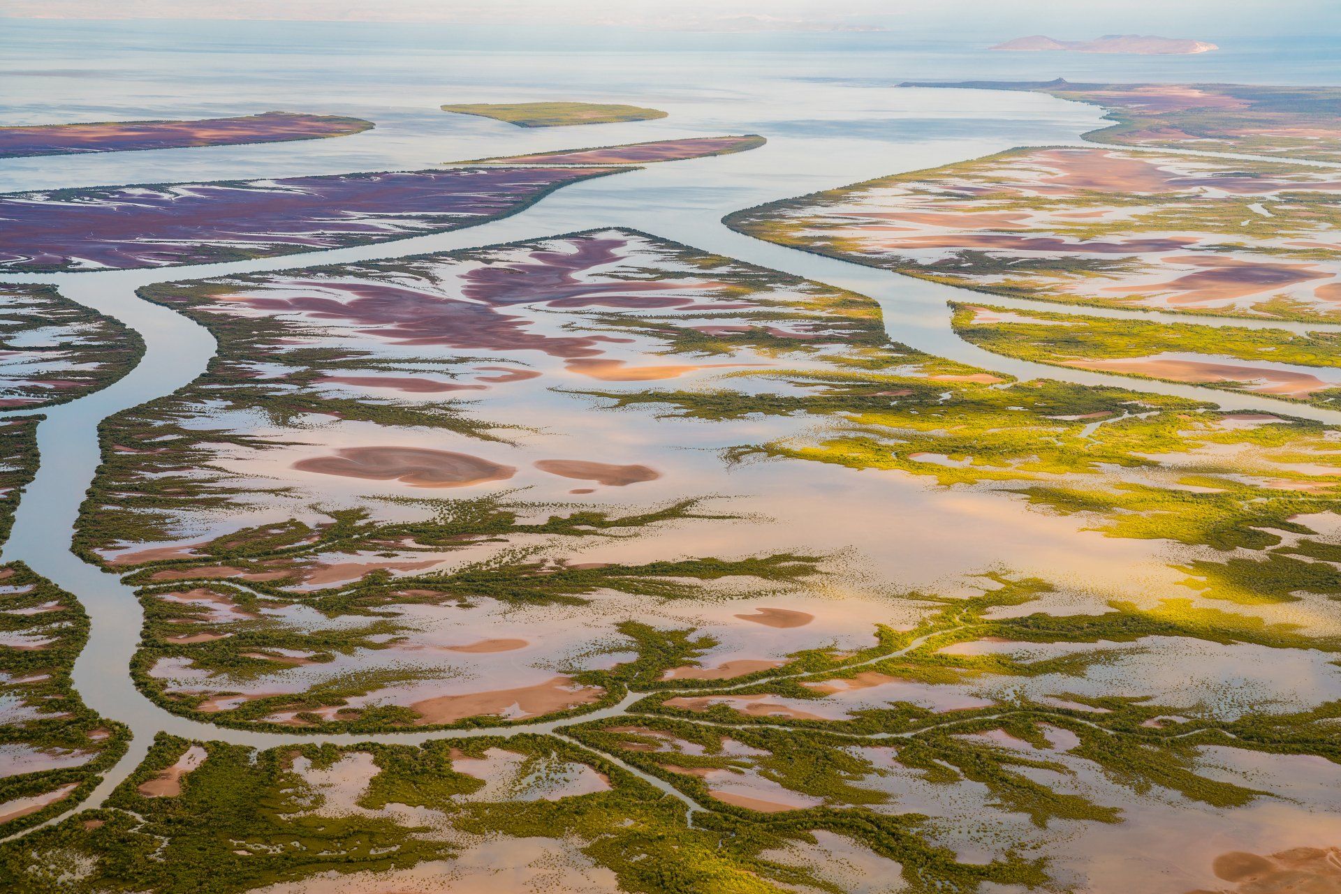 Aerial view of a wetlands area with winding waterways, brown and green vegetation, and a body of water.