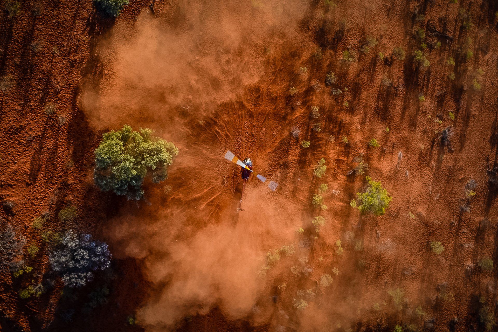 Aerial view: A small plane kicks up reddish dust over a field with scattered trees.