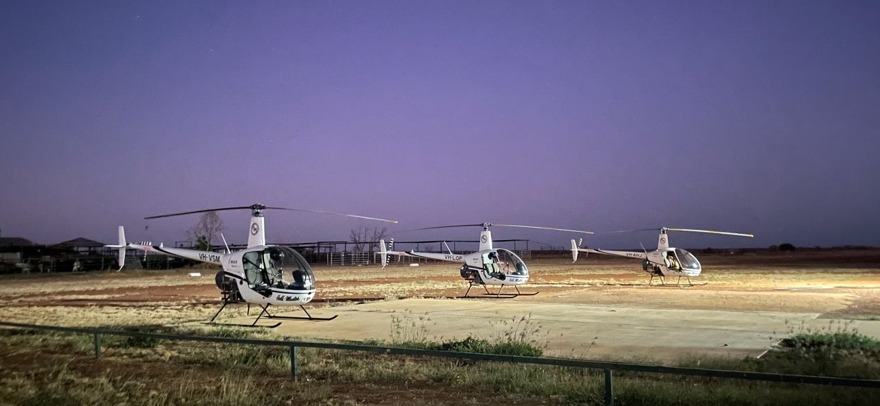 Helicopters parked on a field at dusk. Purple sky, ground lit by artificial light.