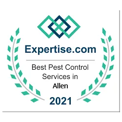 Best Pest Control Service in Allen Best Pest Control Service in Allen