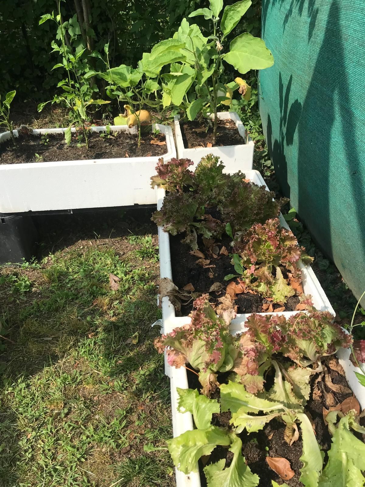 giardino della Villa Lucia - casa famiglia per anziani a Torino