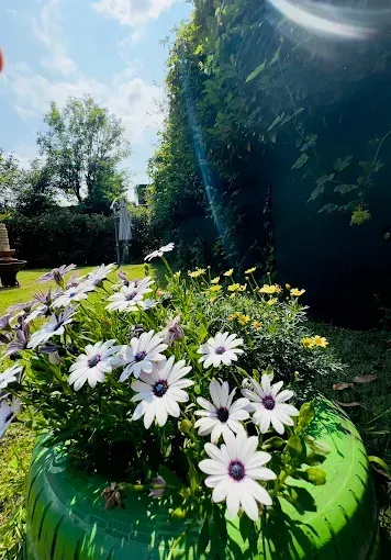 giardino della Villa Lucia - casa famiglia per anziani a Torino
