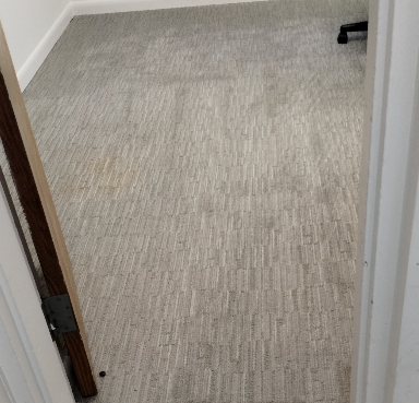 A room with a carpeted floor and a chair in it