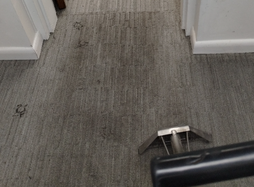 A vacuum cleaner is cleaning a dirty carpet in a hallway
