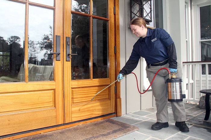 Home Pest Control Service — Gainesville, GA — Duncan Exterminating Co. Home Pest Control Service — Gainesville, GA — Duncan Exterminating Co.