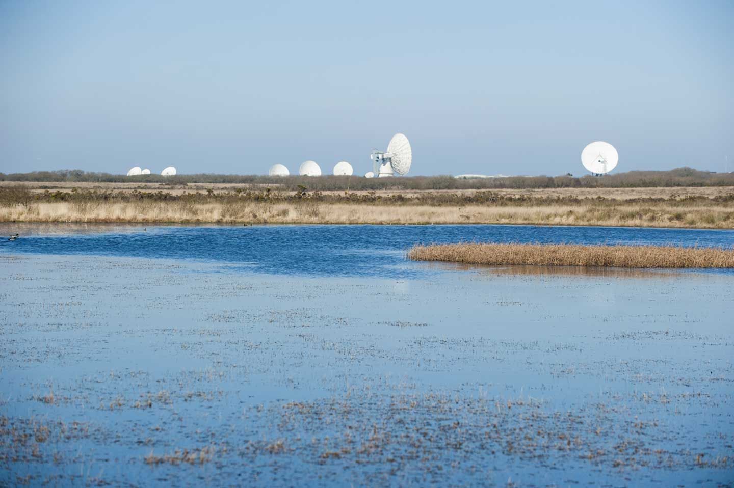 Goonhilly Downs on the Lizard Peninsula, enjoy nature walks.