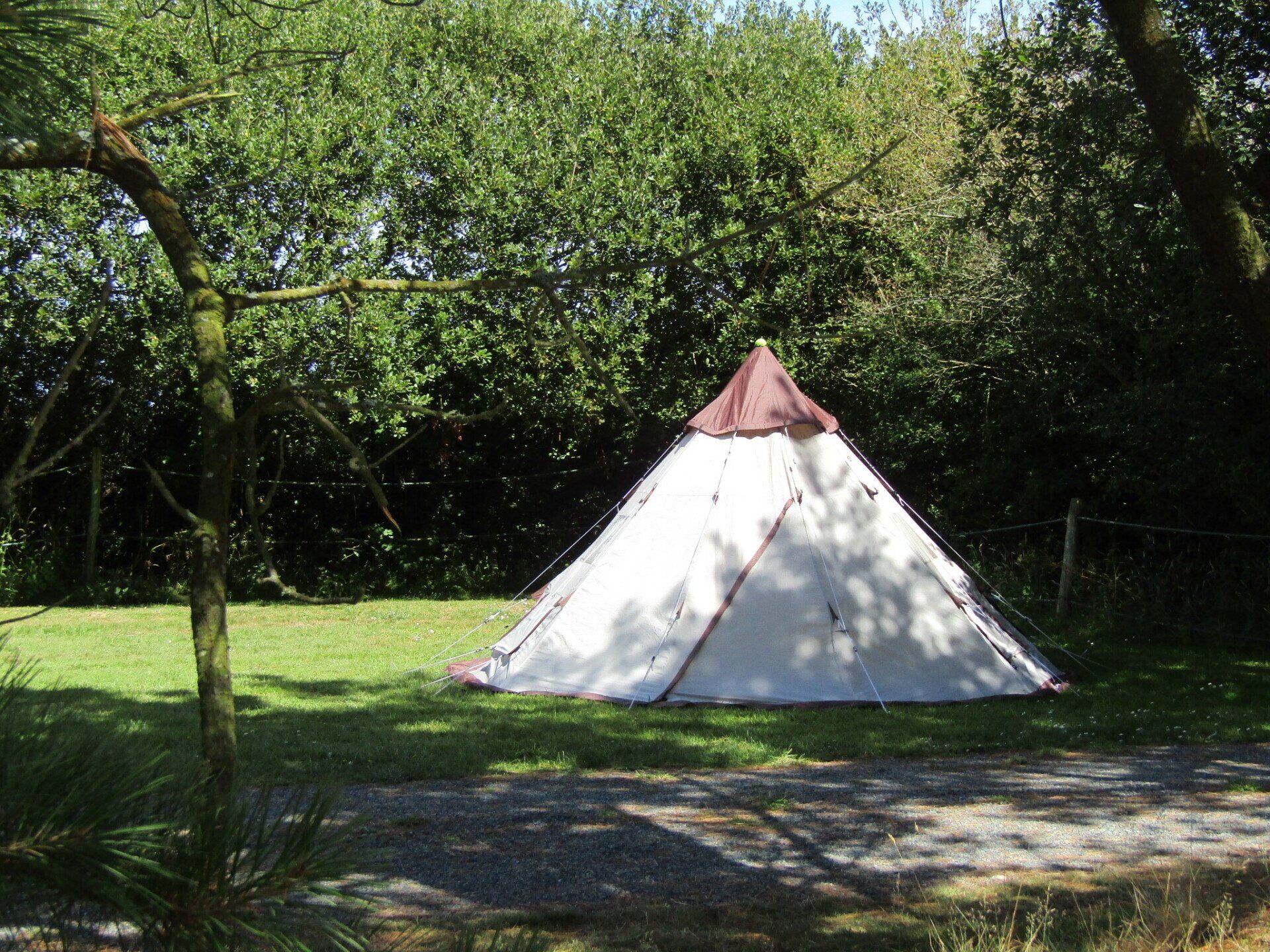 Spacious camping pitches at Little Trevothan Camping and Caravan Park