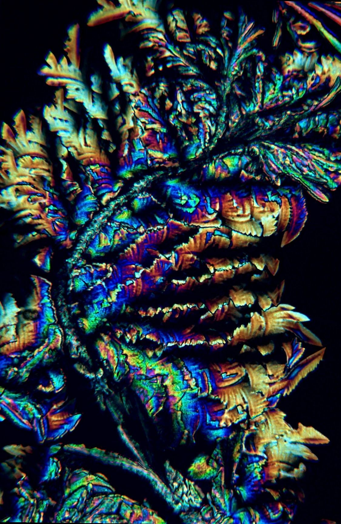Pet memorial artwork showing blue and rainbow crystal patterns from ashes photographed under polarized light