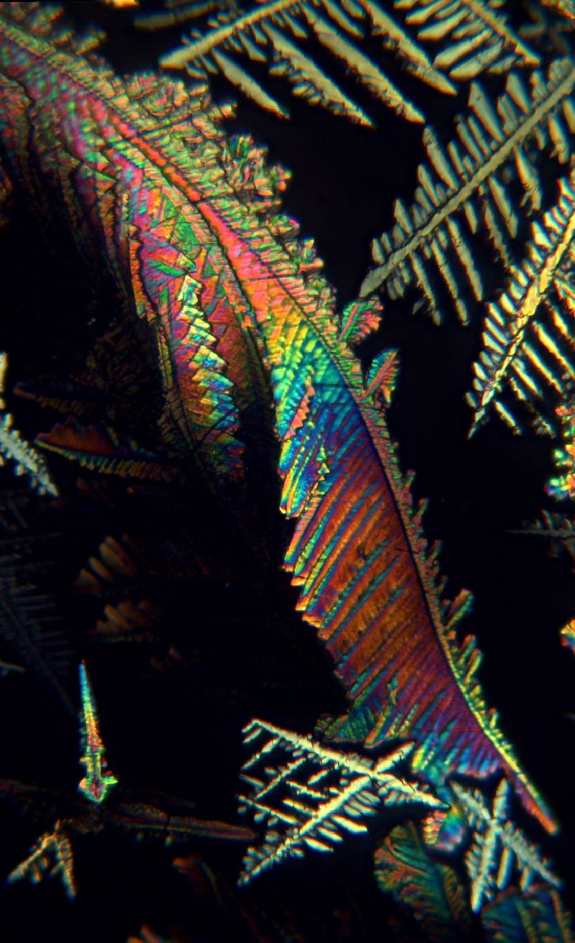 Pet memorial artwork showing rainbow crystal patterns from ashes under polarized light microscopy