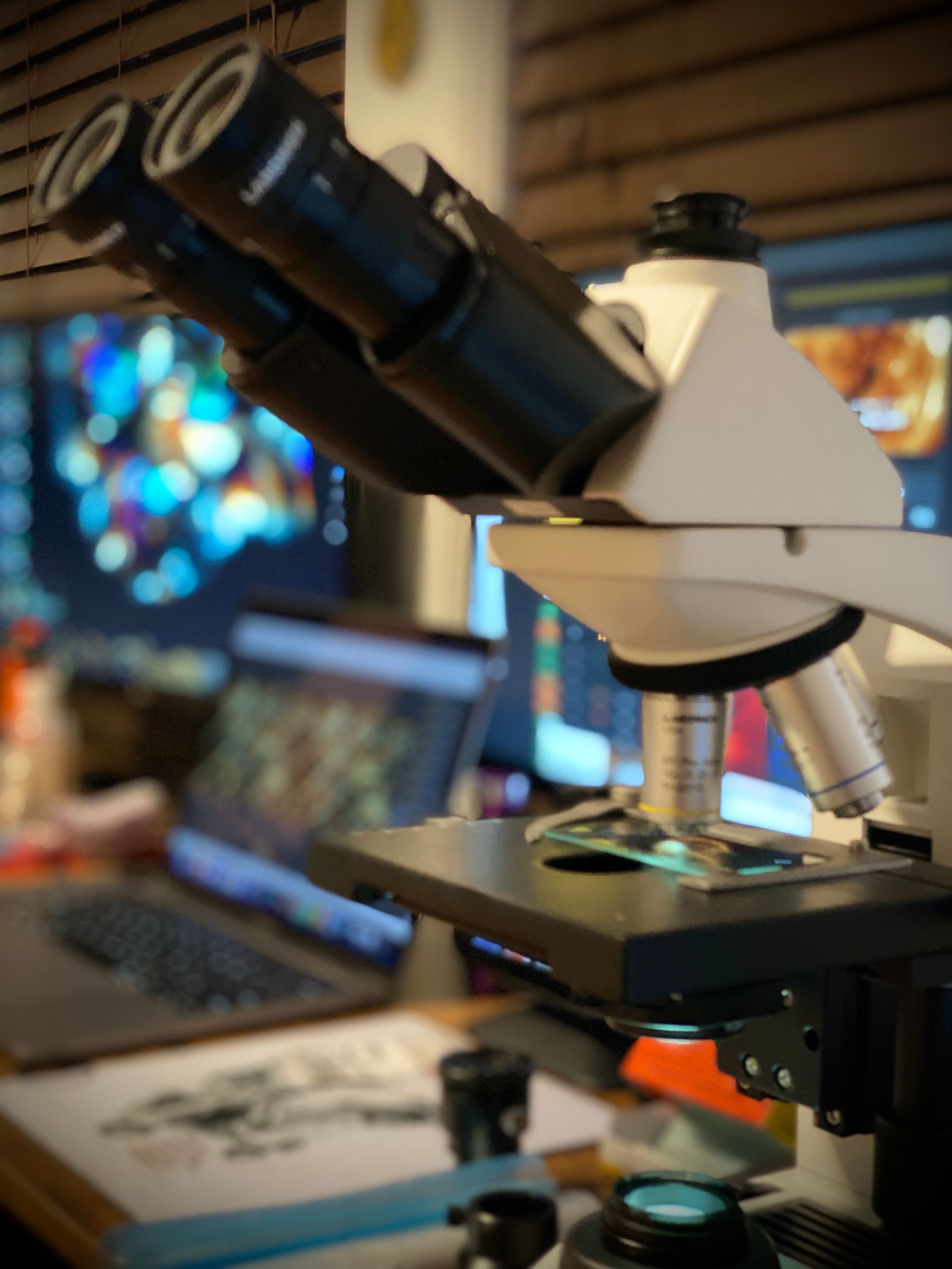 Polarized light microscope used to photograph crystal patterns in pet memorial artwork creation