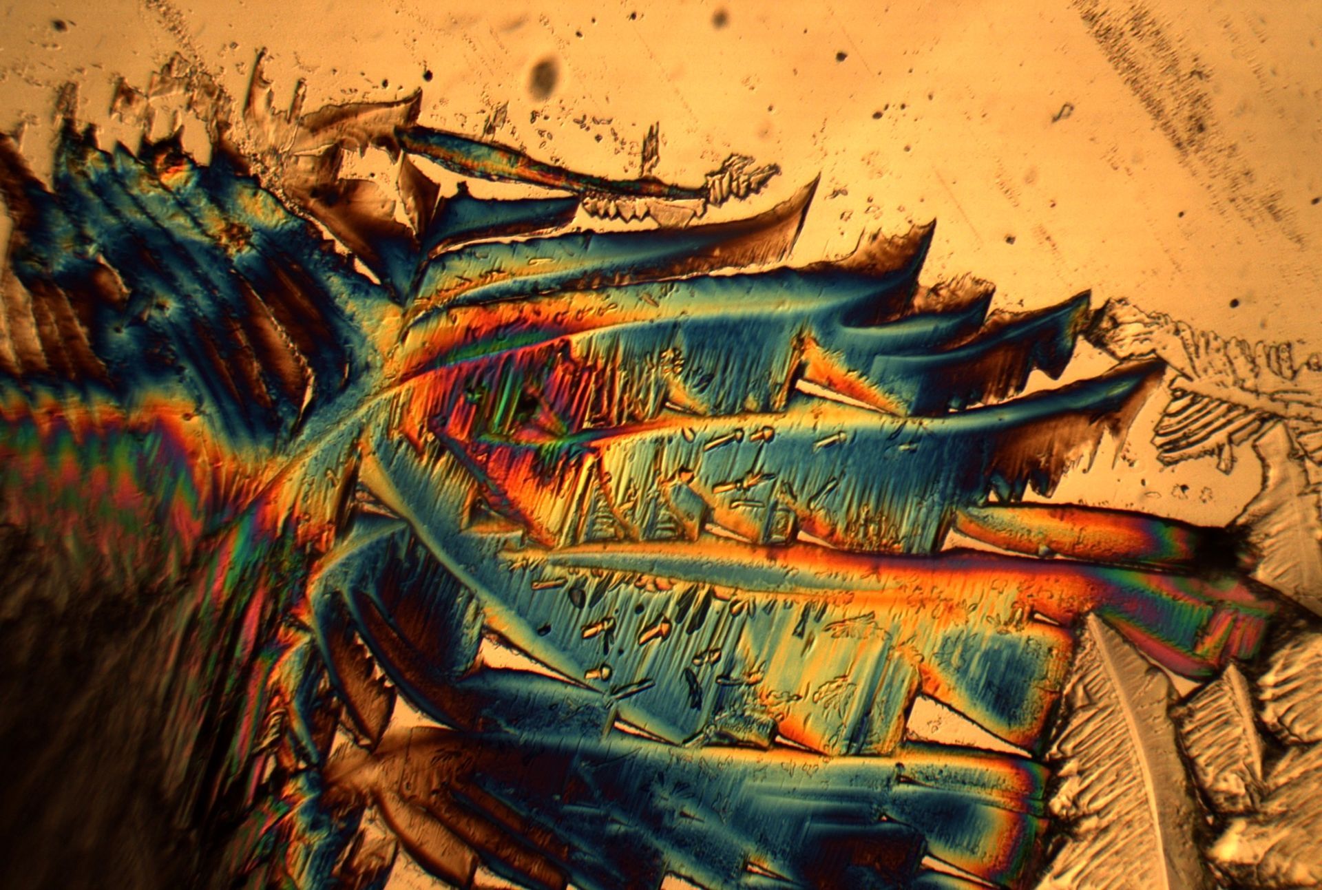 Pet memorial artwork showing blue and rainbow crystal patterns from ashes photographed under polarized light