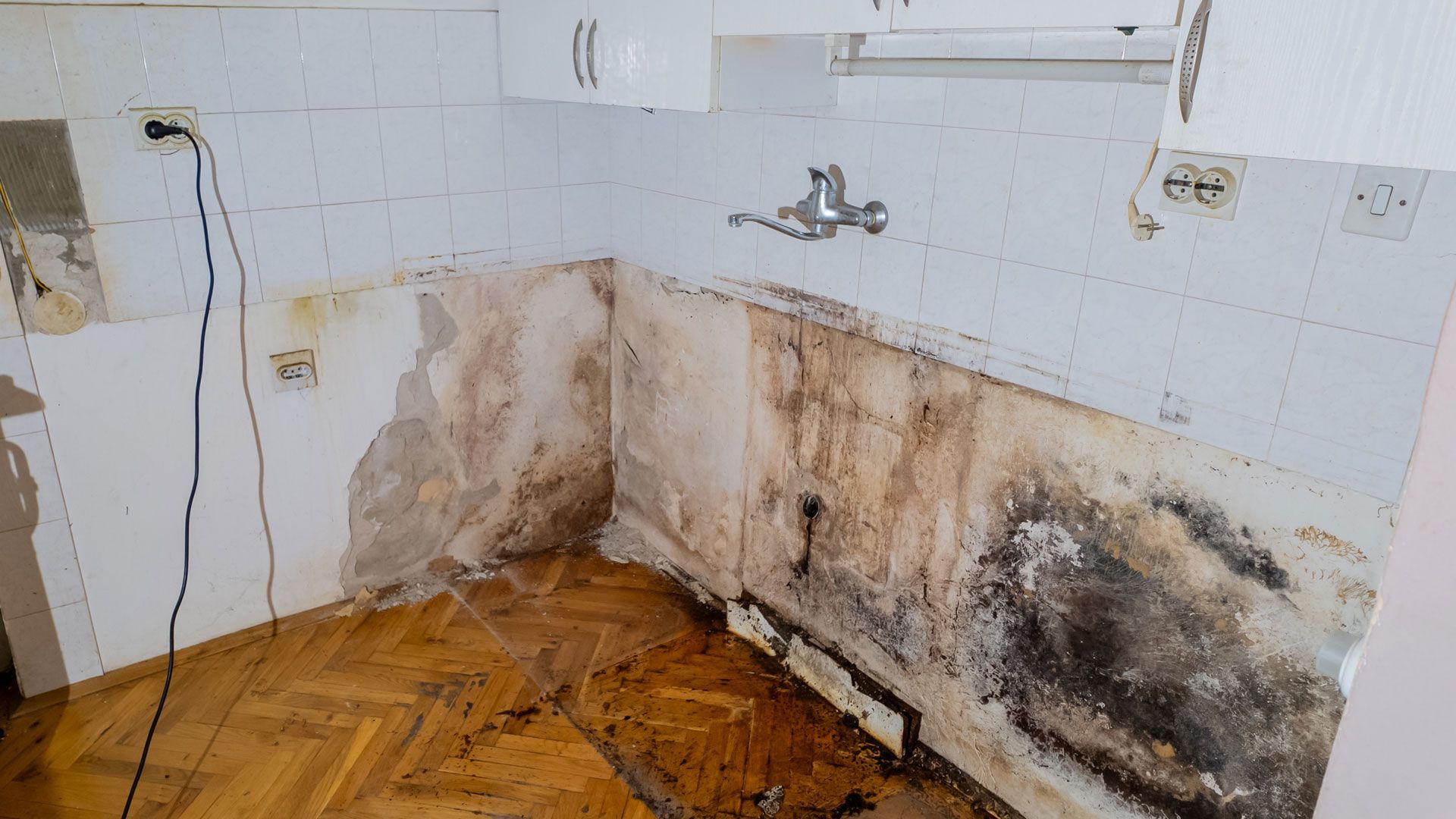 Mold-infested kitchen, walls and floor with water damage and missing tiles. Brown and white tones.