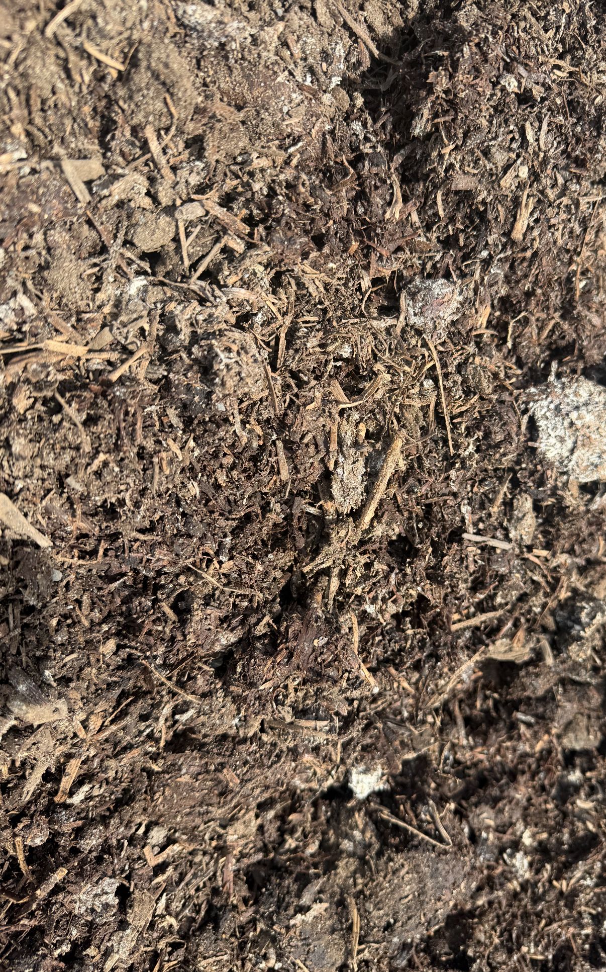 Sand and Soil on the Mid North Coast | Manning Valley Landscapes