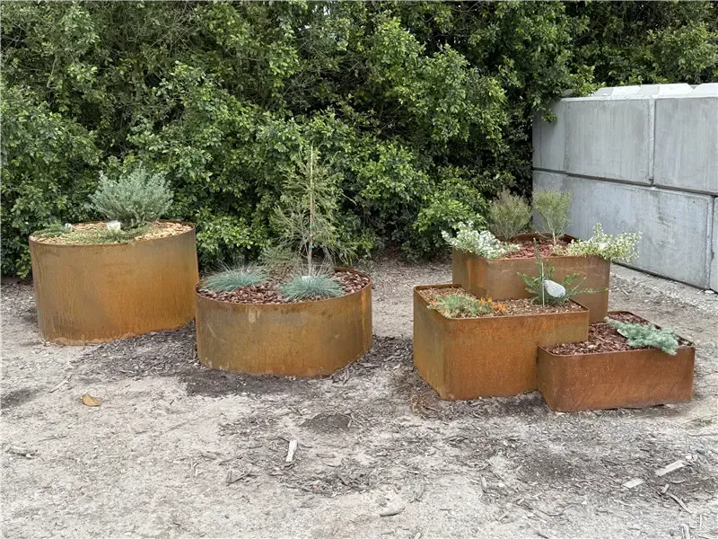 Several Rusty Round and Rectangular Planters with Succulents Beside a Concrete Wall and Leafy Bushes — Manning Valley Landscapes in Wingham, NSW