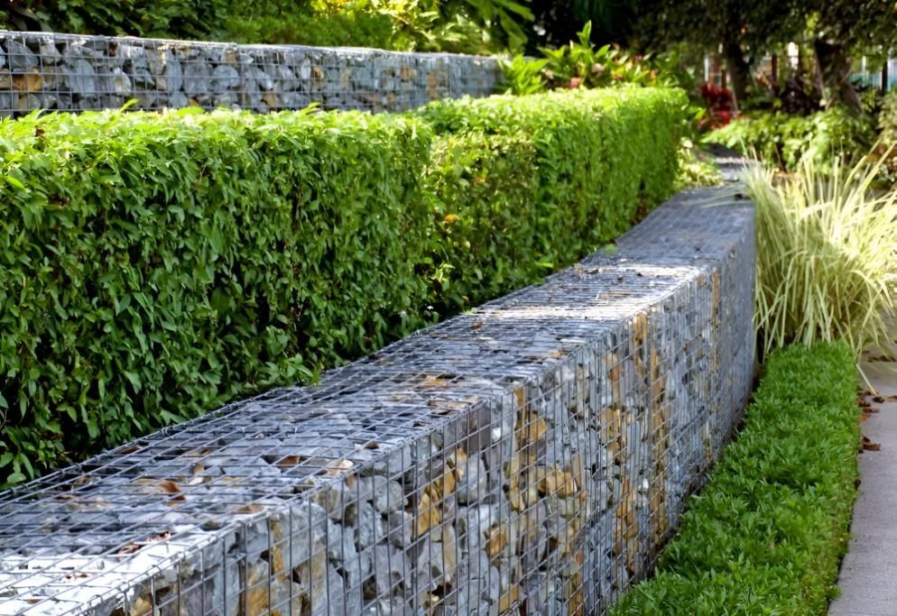 A Stone Wall With a Hedge Behind It in a Garden — Manning Valley Landscapes in Gloucester, NSW