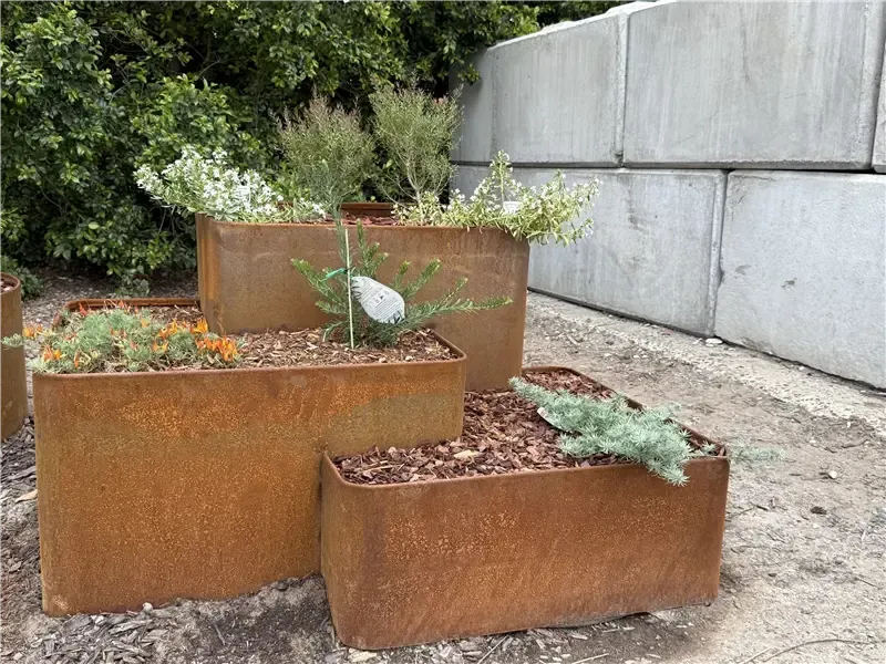 Rust-colored Planters with Small Plants Beside a Concrete Wall and Greenery Outdoors — Manning Valley Landscapes in Wingham, NSW