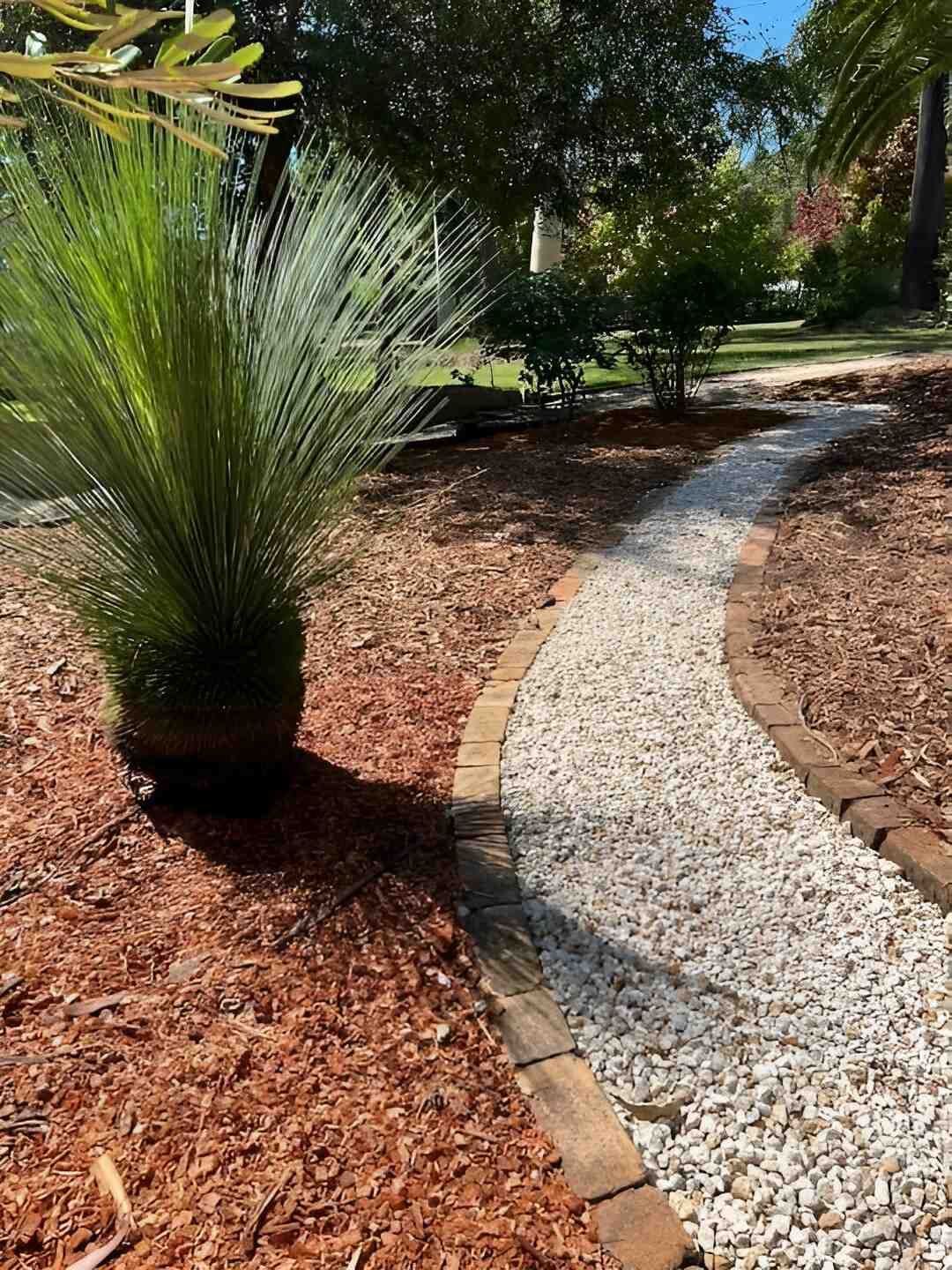 A Path in a Garden With a Plant in the Middle of It — Manning Valley Landscapes in Wingham, NSW