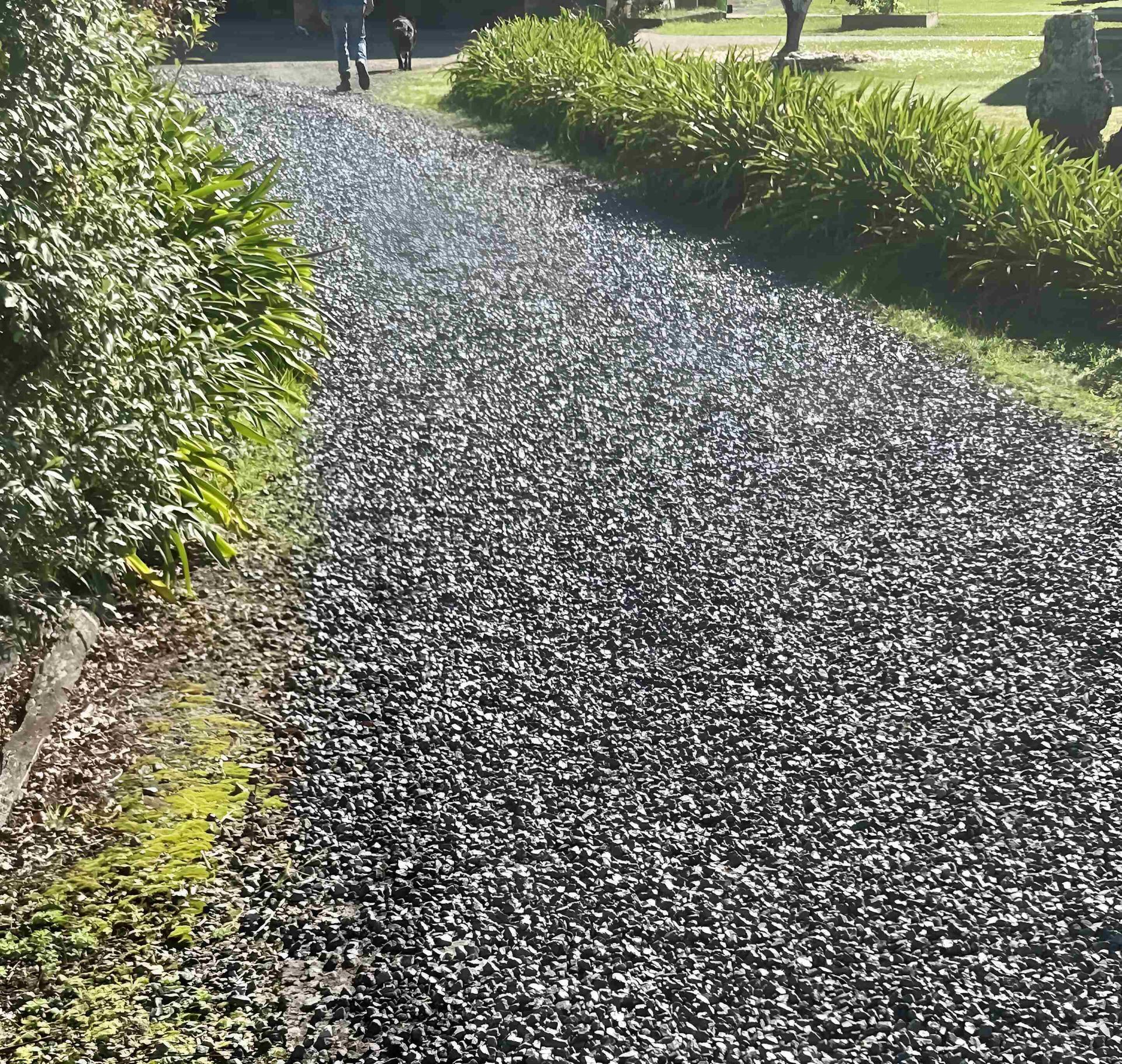 A Gravel Driveway Surrounded by Bushes and Grass — Manning Valley Landscapes in Wingham, NSW