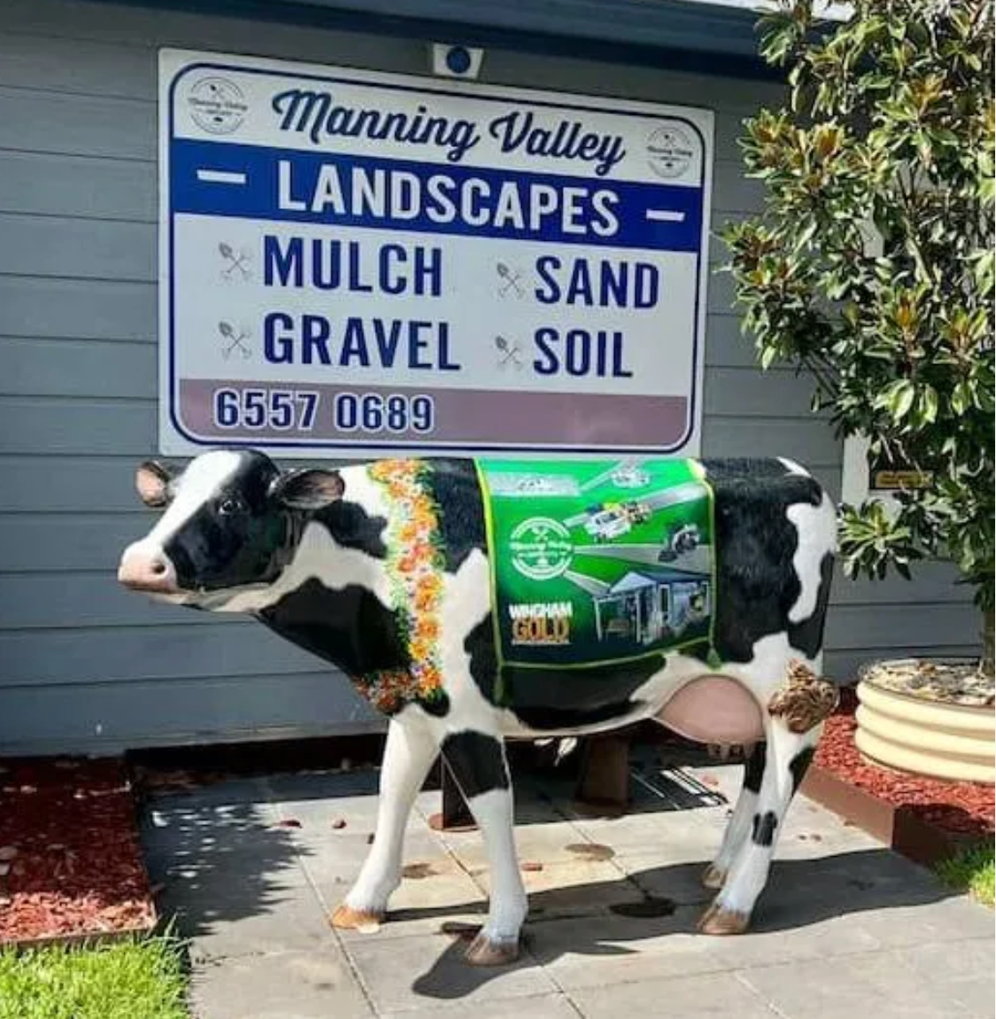 Manning Valley Landscapes Cow — Manning Valley Landscapes in Wingham, NSW
