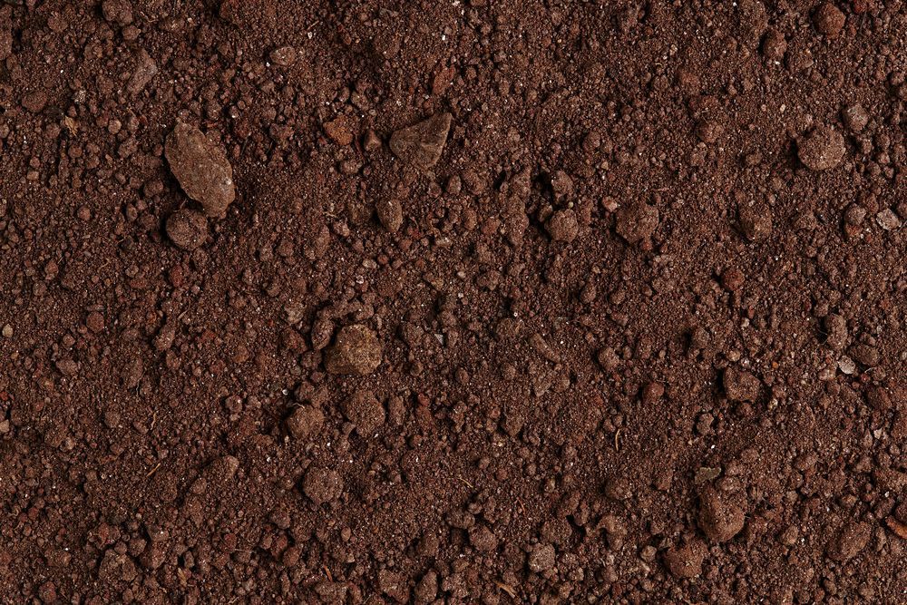 A Pile of Dirt is Sitting on the Ground — Manning Valley Landscapes in Old Bar, NSW