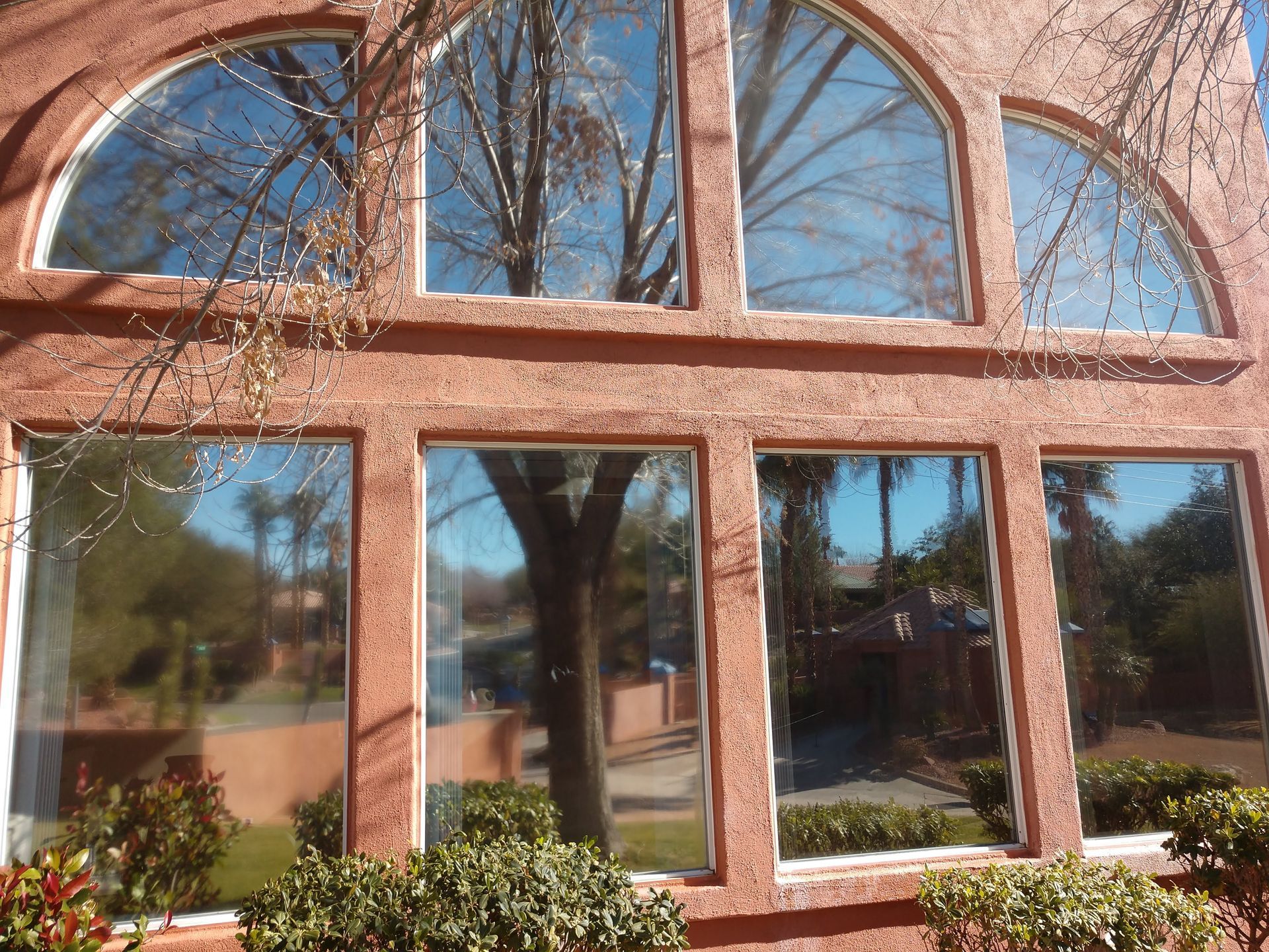A brick building with arched windows and a tree reflected in the windows