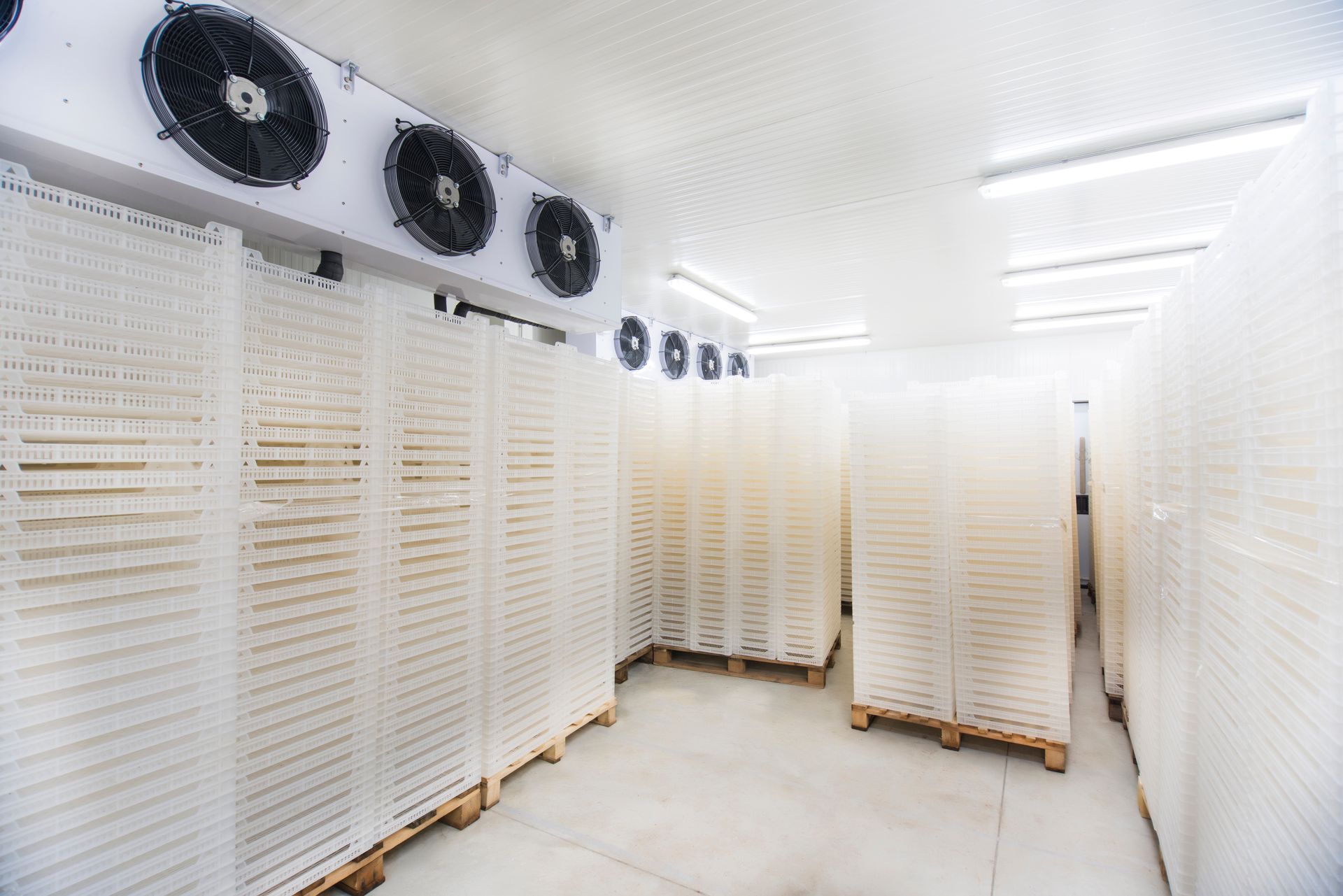 magazzino prodotti refrigerati