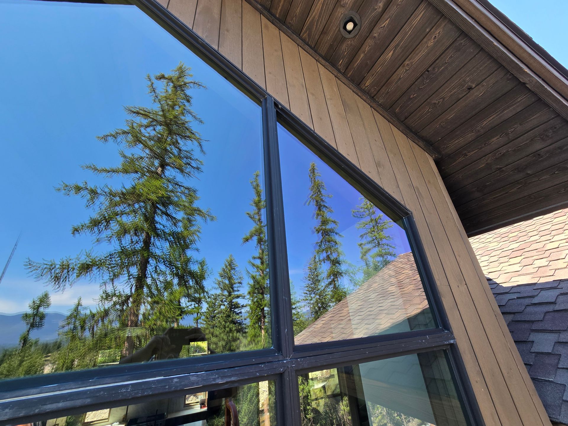 Large windows reflect evergreen trees and a clear blue sky, set against a tan exterior wall and dark roof shingles.