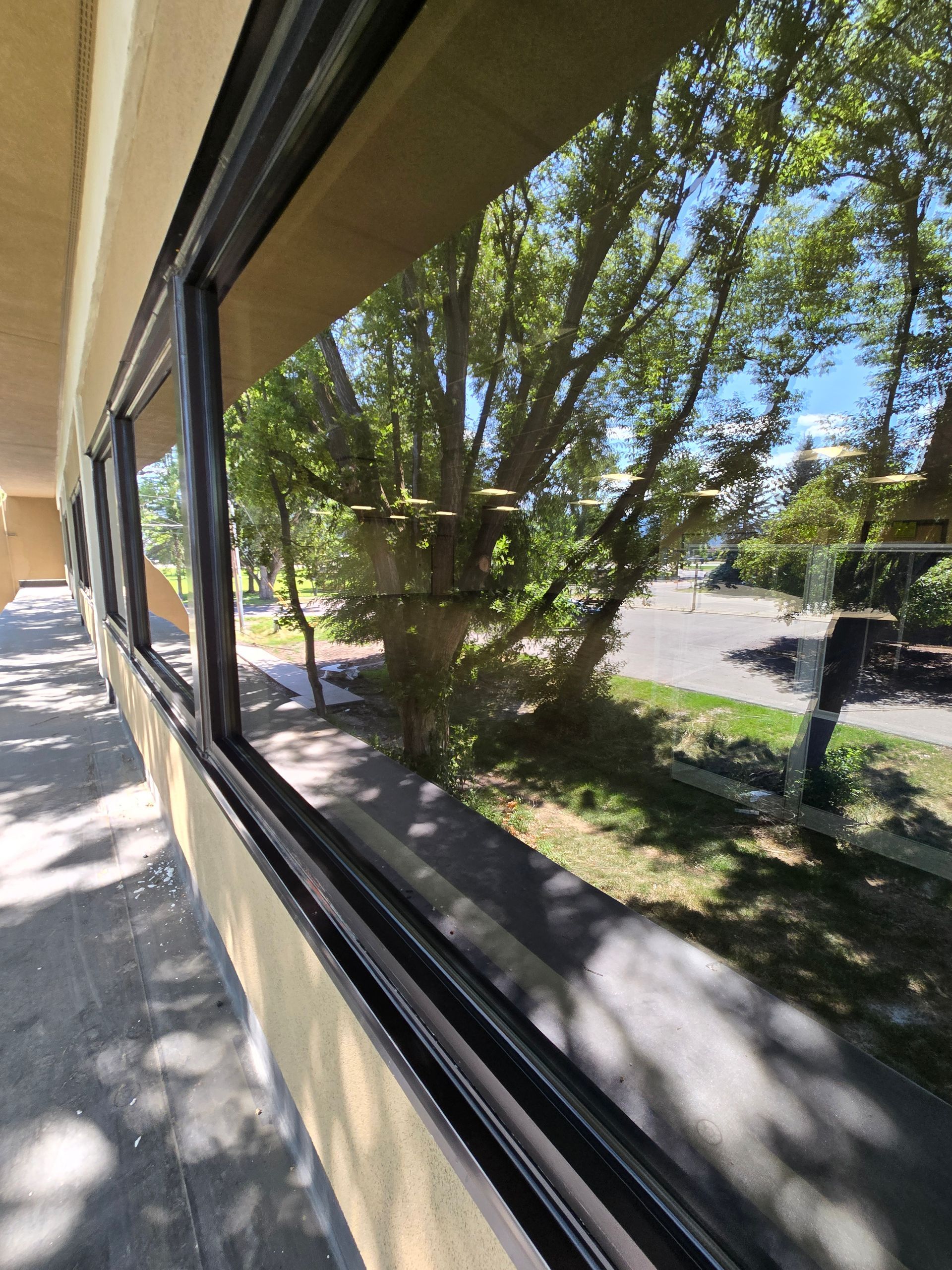 A view from a building corridor looking out through a wall of windows at trees and a path on a sunny day.