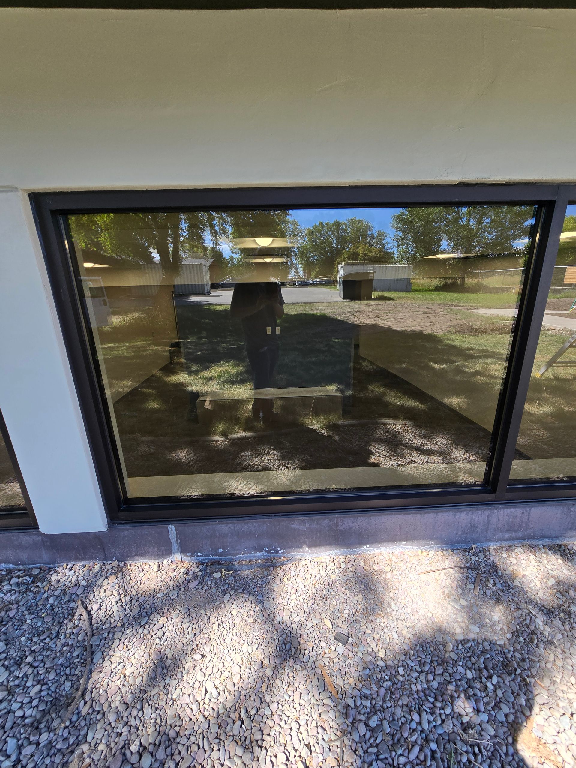 A dark-framed window reflects a sunny outdoor area, showing a tree-lined street and a gravel ground in the foreground.