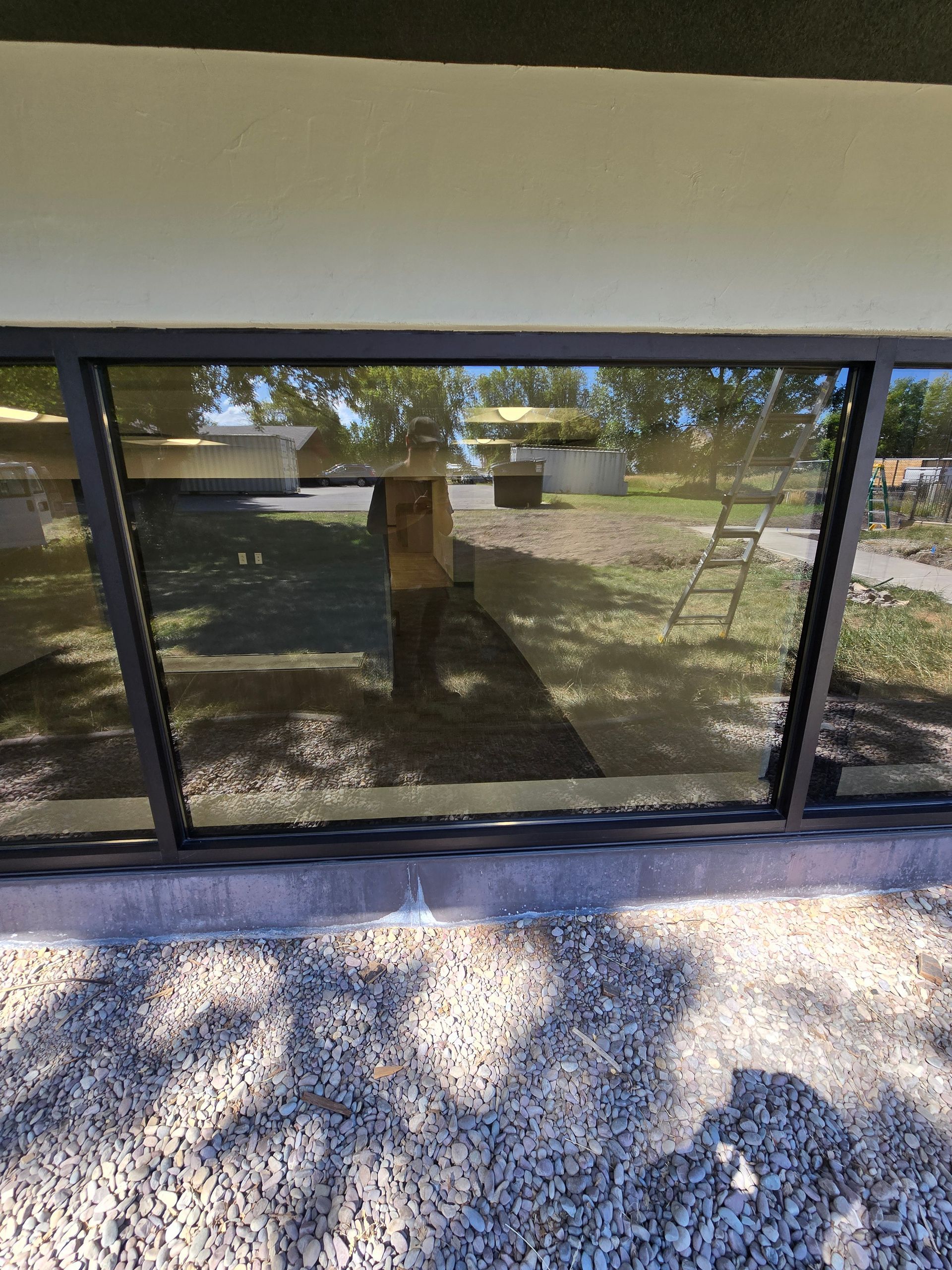 A wide, rectangular window with a black frame looking out onto a grassy, sunlit yard with a ladder leaning against a tree.