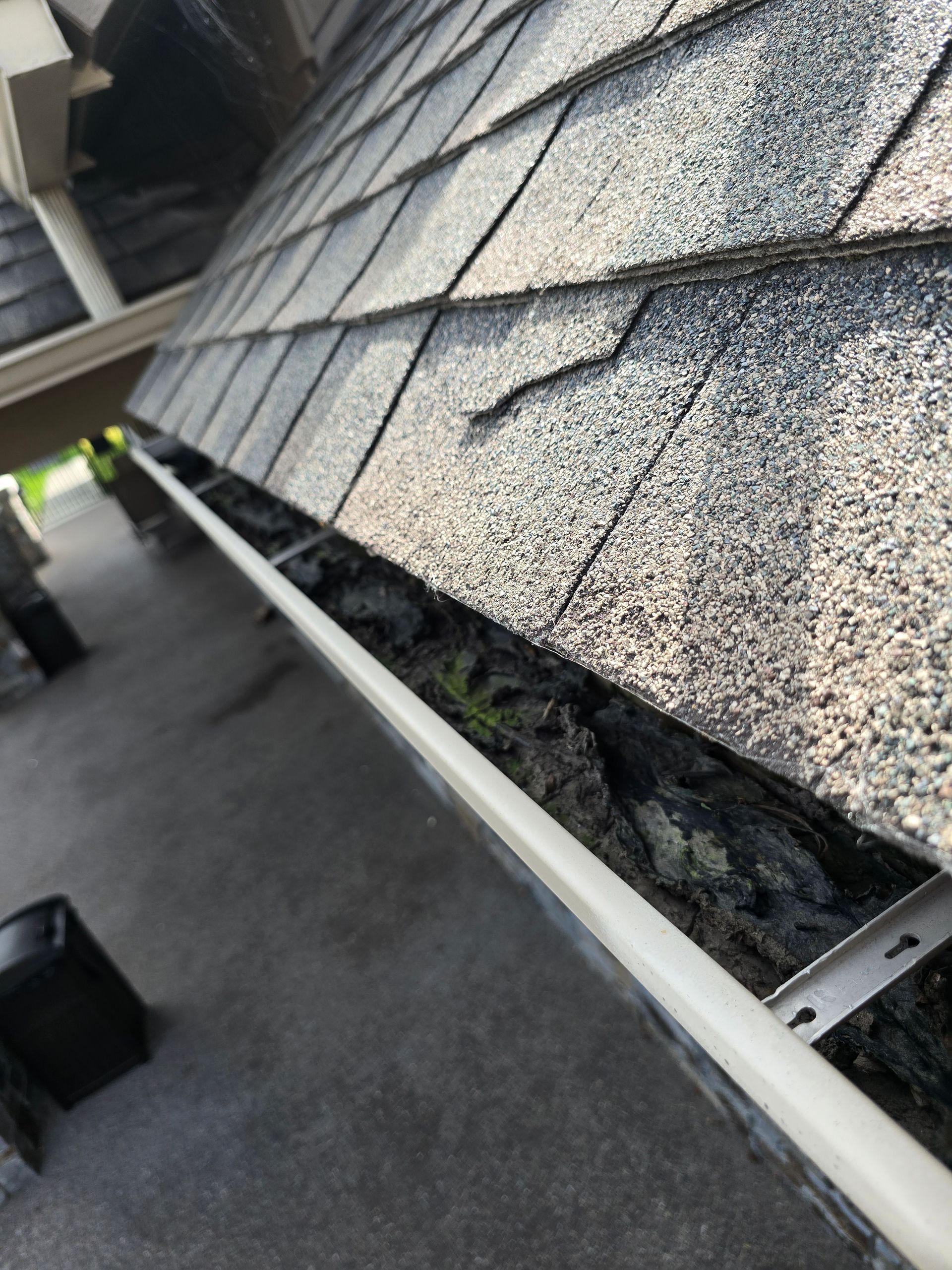 A high-angle view of a beige rain gutter filled with dark debris and small green weeds, attached to an asphalt roof.